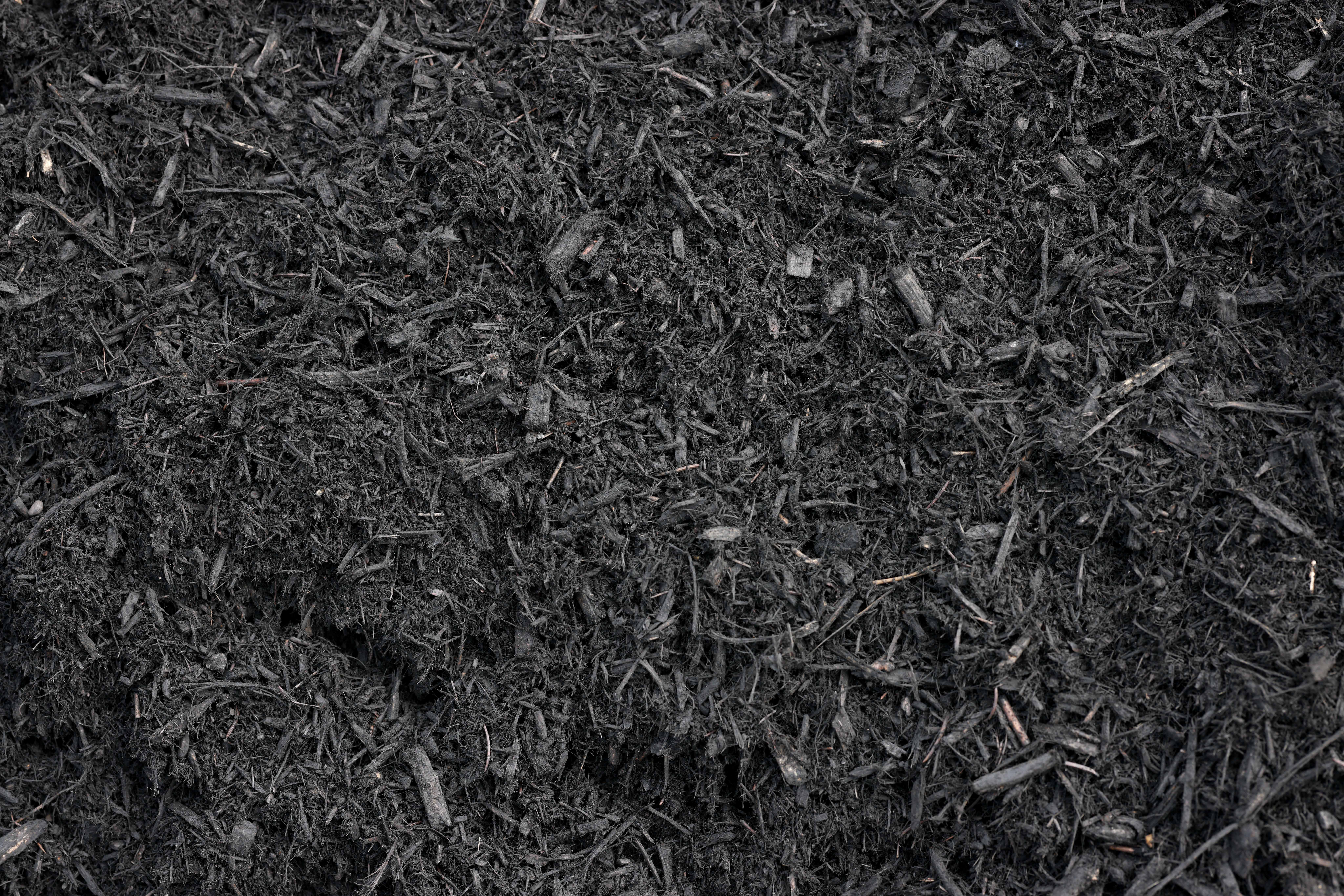 black-satin-mulch
